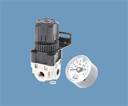 Pressure Gauge and Regulator TSD945-1